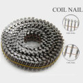 Professional High Quality Steel Cap Nails with Nice Price